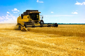 Combine Harvester on the field