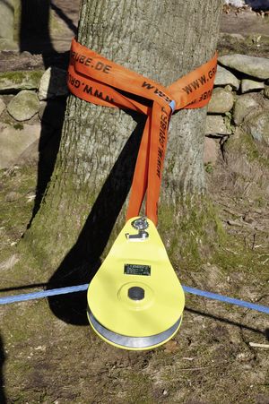 Winch in use on a tree