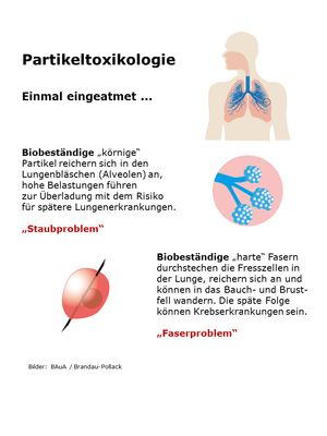 Abbildung geschädigte Lunge