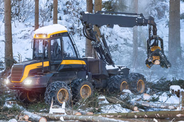 Abatteuse en action dans une forêt enneigée