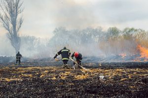 Des pompiers transportent un tuyau à travers un champ brûlé. À côté, certaines parties du champ sont encore en flammes.