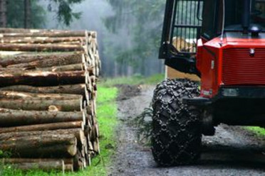 Harvester auf einem Waldweg neben einem Stapel Holz