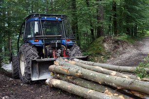 Traktor mit Schutzaufbau auf der Fahrerkabine zieht Baumstämme auf einem Waldweg