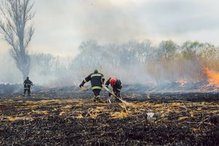 Des pompiers transportent un tuyau à travers un champ brûlé. À côté, certaines parties du champ sont encore en flammes.