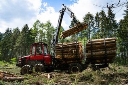 Forwarder clears deadwood from a forest