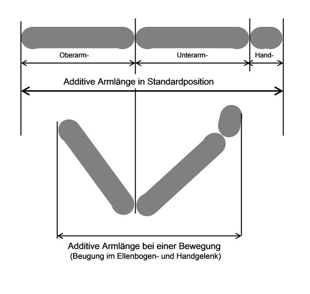 Schematische Darstellung der Veränderung von Körpermaßen des Armes in Abhängigkeit von der Bewegung