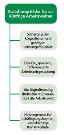 Gestaltungsfelder für zukünftige Arbeitswelten