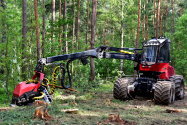 Holzerntemaschine bei der Rodung eines Waldes
