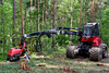 Holzerntemaschine bei der Rodung eines Waldes