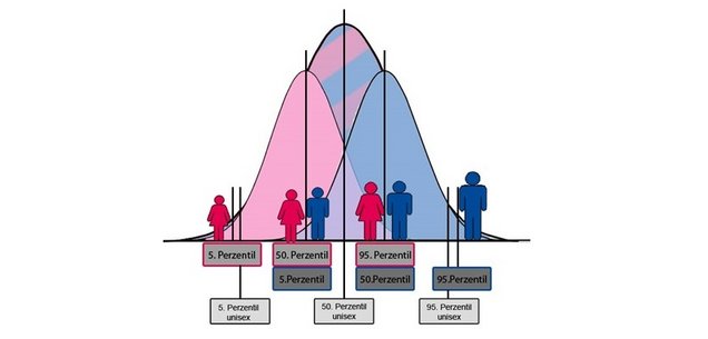 Perzentilverteilung beim Unisexmodell und getrenntgeschlechtlicher Betrachtung am Beispiel der Körperhöhe