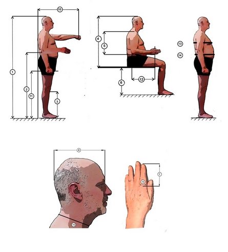  Gebräuchlichste ergonomische Körpermaße